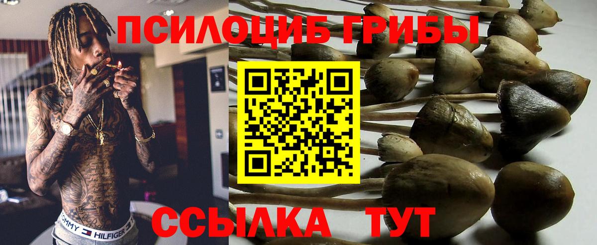 Галлюциногенные грибы GOLDEN TEACHER Лосино-Петровский