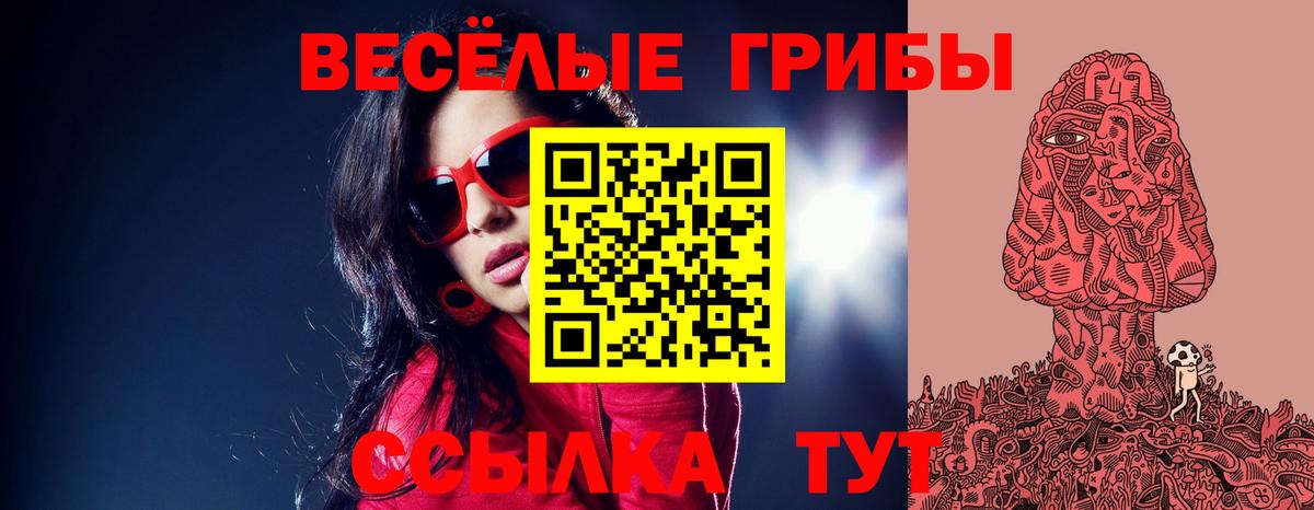Лосино-Петровский  магазин продажи   Вход с VPN  Псилоцибиновые грибы Cubensis  Галлюциногенные грибы Psilocybine cubensis 